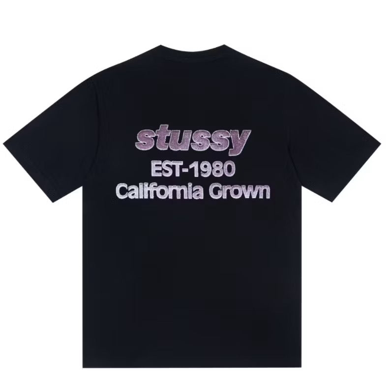 [New] Stussy ‘California’ Tee